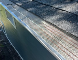 Gutter Guards Photo 28