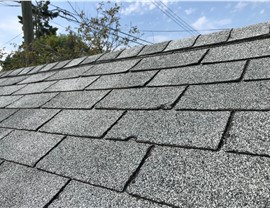 Roof Hail Damage Photo 6