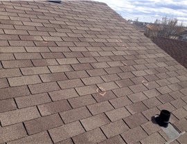 Roof Hail Damage Photo 20