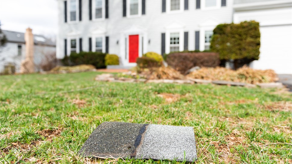 Storm Damage Photo 90