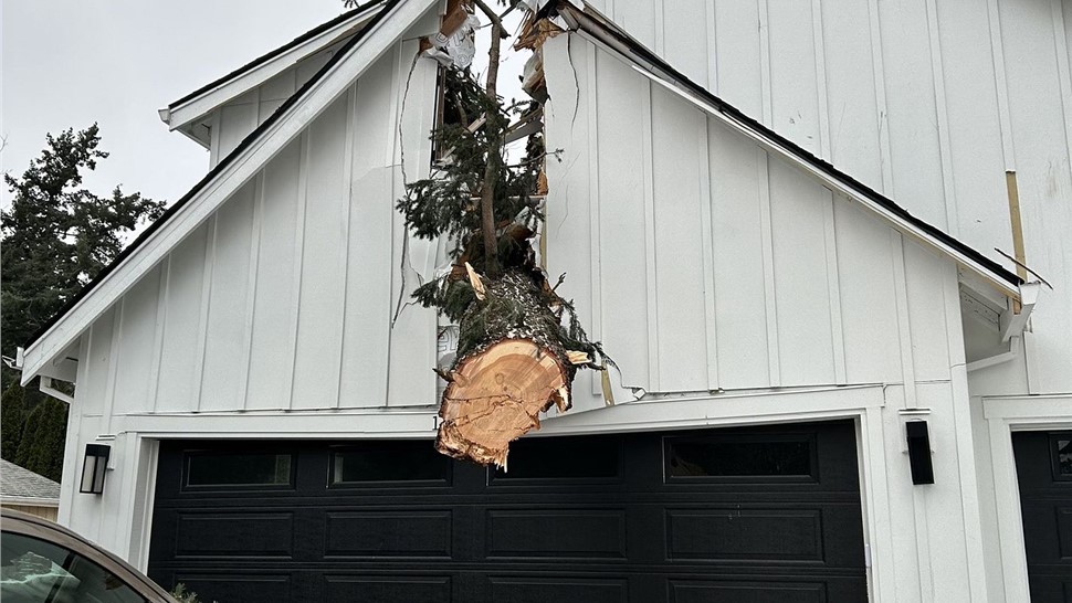 Service Areas - Storm Damage Photo 45
