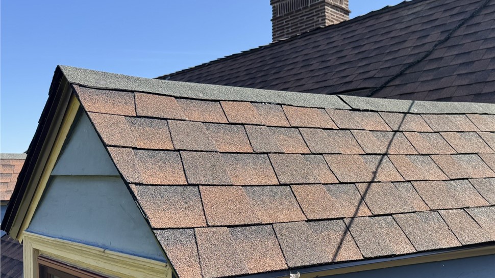 GAF Timberline HDZ - Hickory Photo 94