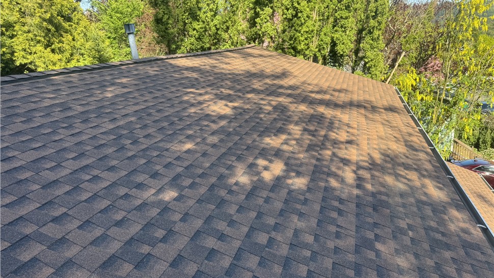 GAF Timberline HDZ - Hickory Photo 88