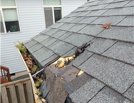 Service Areas - Storm Damage Photo 24