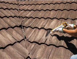 Roofing - Roof Leaks Photo 63