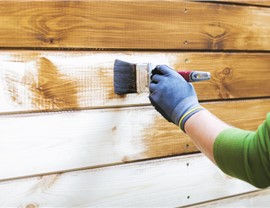 Service Areas - Painting Photo 35