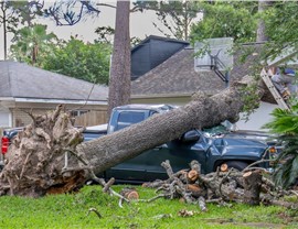 Storm Damage - Wind Damage Photo 72
