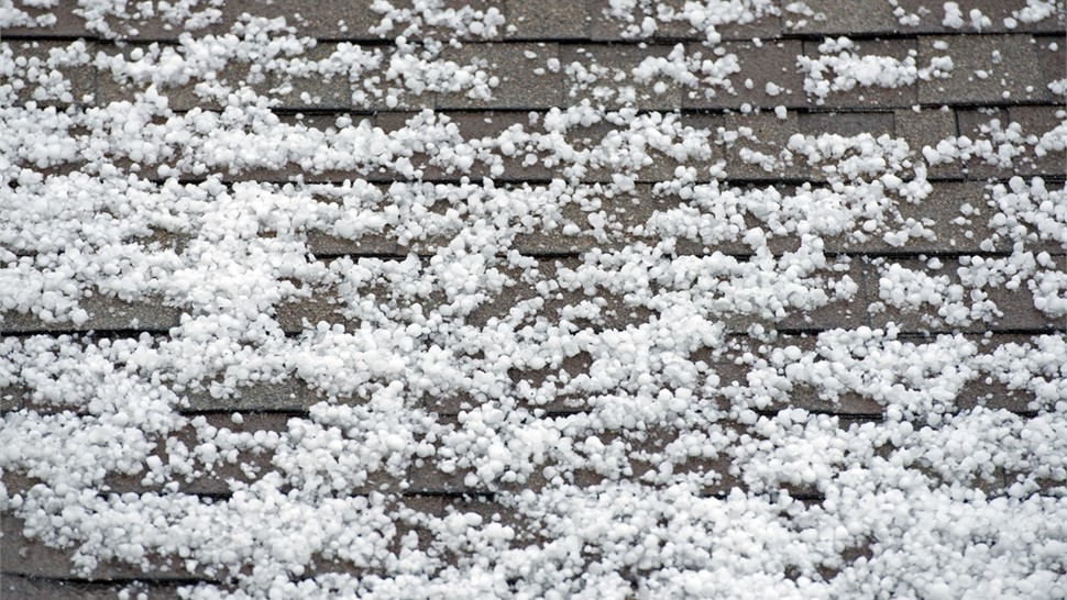 Storm Damage - Hail Damage Photo 60