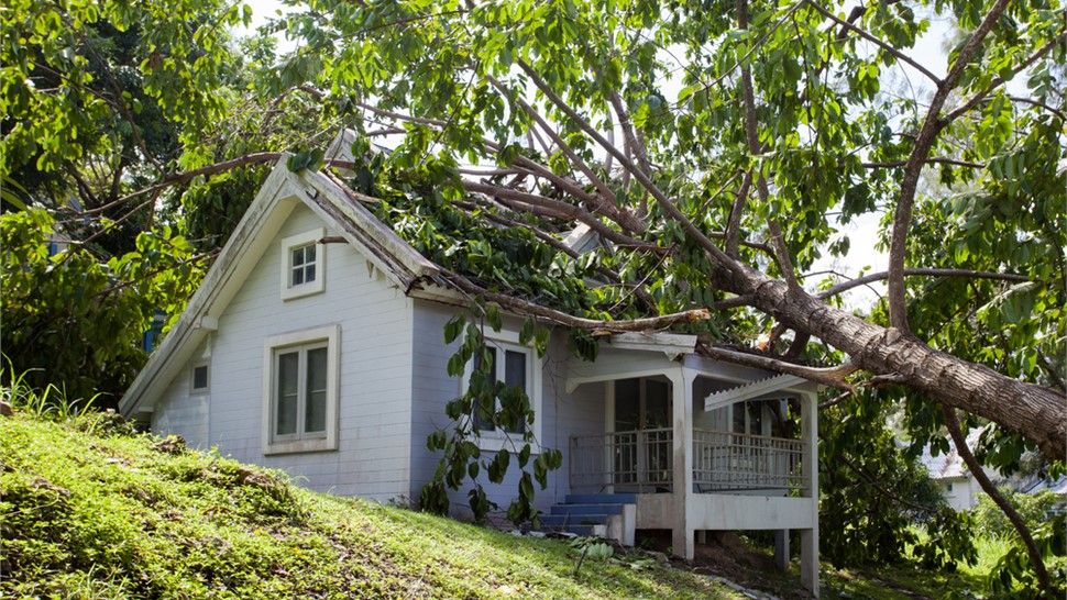 Service Areas - Storm Damage Photo 63