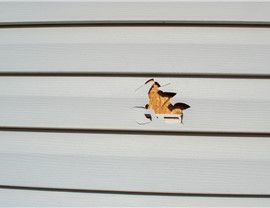 Storm Damage - Signs of Storm Damage Photo 99