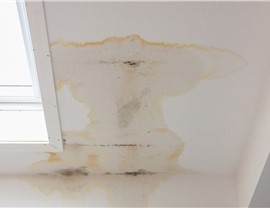 Roofing - Roof Leaks Photo 93
