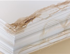 Storm Damage - Signs of Storm Damage Photo 61