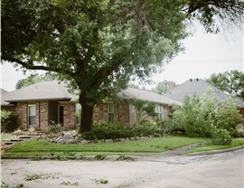 Storm Damage - Wind Damage Photo 91