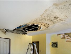 Roofing - Roof Leaks Photo 22