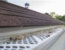 Gutters - Gutter Guards Photo 93