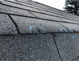 Storm Damage - Hail Damage Photo 43