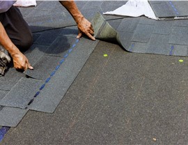 Roofing - Roof Repair Photo 96
