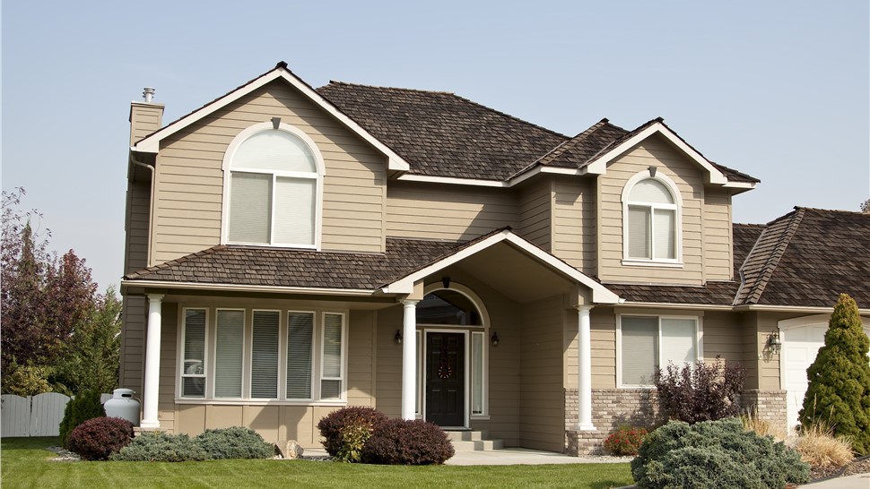 Service Areas - Windows Photo 31