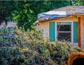 Storm Damage Photo 99