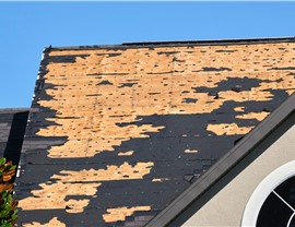 Storm Damage Photo 55