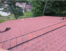 Roofing - Roof Types Photo 17