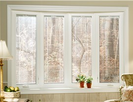 Windows - Window Styles Photo 14