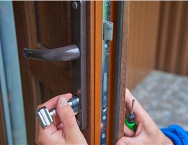 Doors - Door Replacement Photo 7