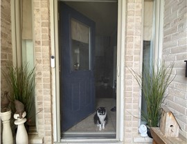 Retractable Screens - Single Door Screens 2 Photo 15