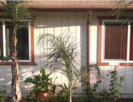 Palm Springs Photo 3