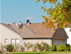 Roofing - Contractor