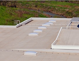 Flat Roof Photo 3