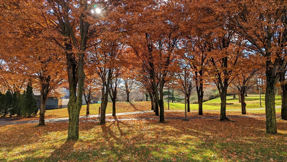 The Top 5 Things to Do in Fall in Albany