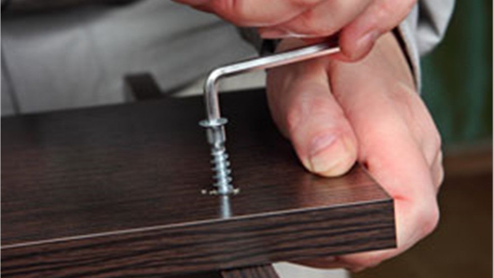 Albany FFE Movers Photo 1