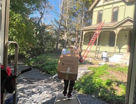 Amsterdam Local Movers Photo 11