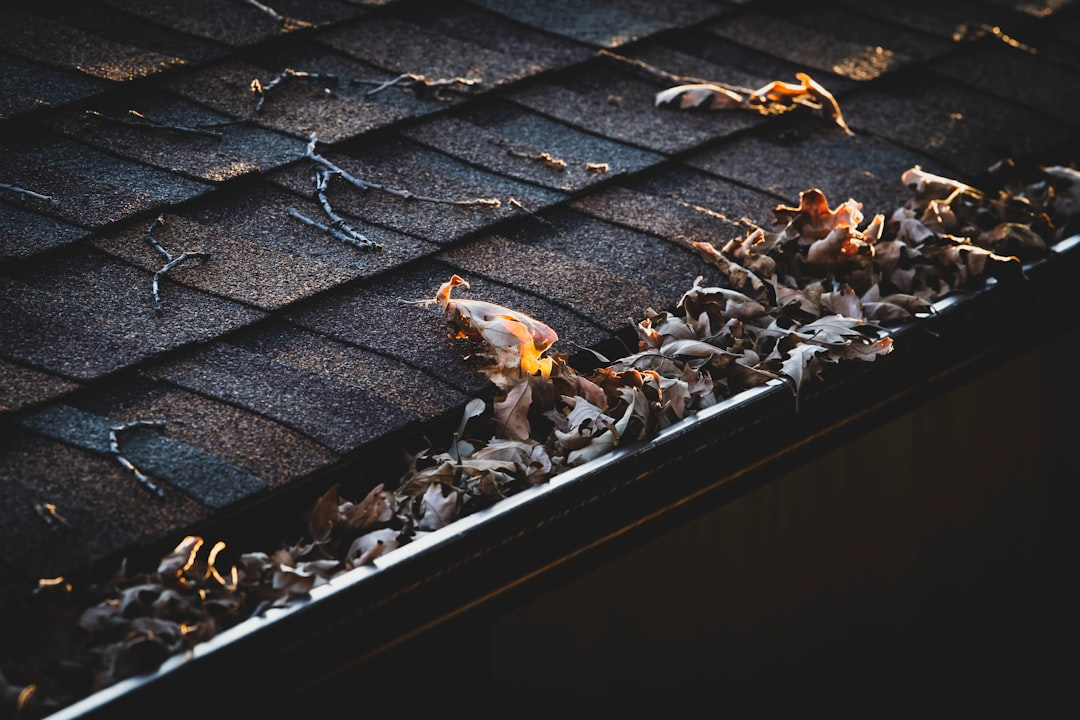 Top-Rated Gutter System Installers: Quality You Can Trust