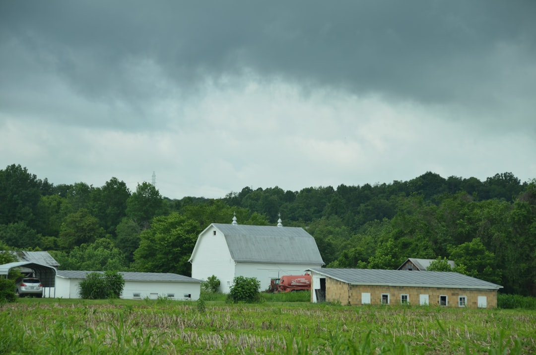 Emergency Storm Damage Roof Repair: Fast Service in Atlanta