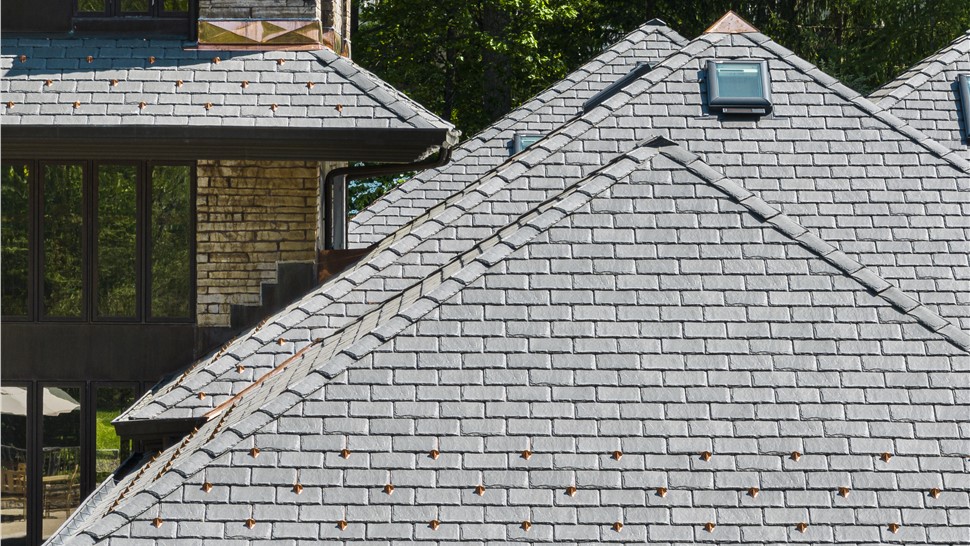 DaVinci Roofscapes Photo 20