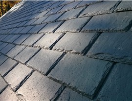 DaVinci Roofscapes Photo 17