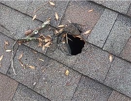 Storm Damage Photo 67