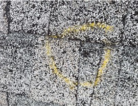 Insurance Claim Photo 56