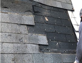 Roof Leaks Photo 3