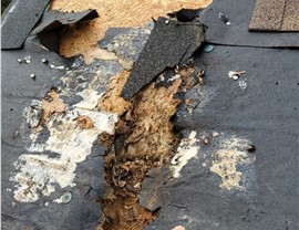 Storm Damage Photo 83