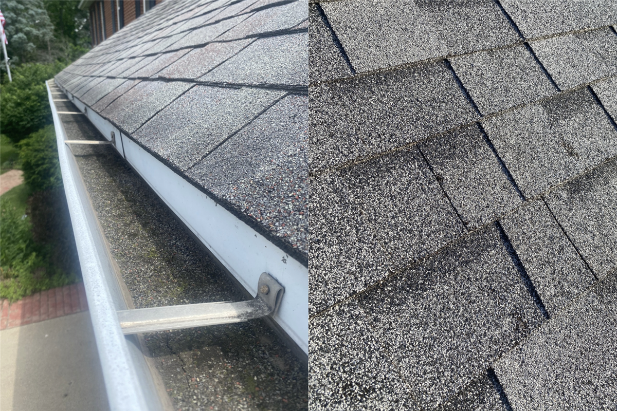 What Granule Loss on Your Shingles Actually Means and When to Worry