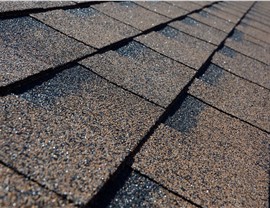Palatine Roofing Photo 74