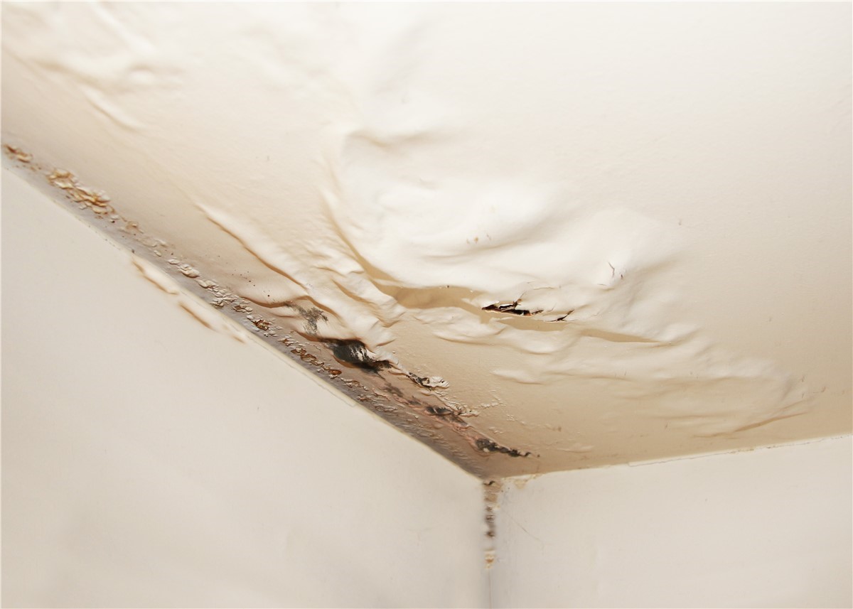 How to Prevent Roof Leaks and Water Damage