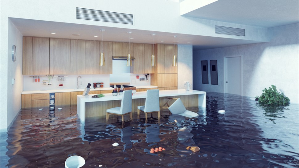 Dynasty Water Mitigation Photo 4