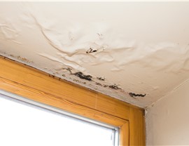 Roof Repair Photo 3