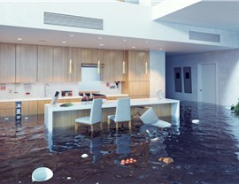 Dynasty Water Mitigation Photo 4