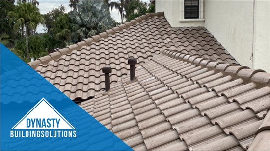 Free Shingle Upgrades