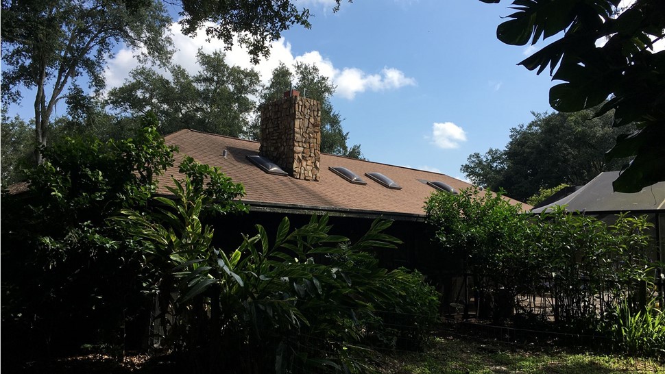 Roofing Project in Tampa, FL by Dynasty Building Solutions